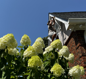 painting contractor Burlington before and after photo 1771356132303_12